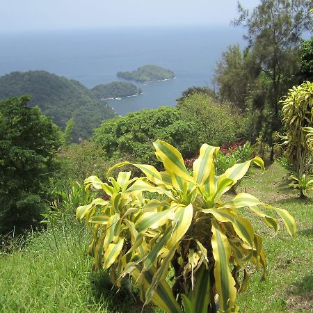 Mahogany Ridge Hotel Arouca Eksteriør billede