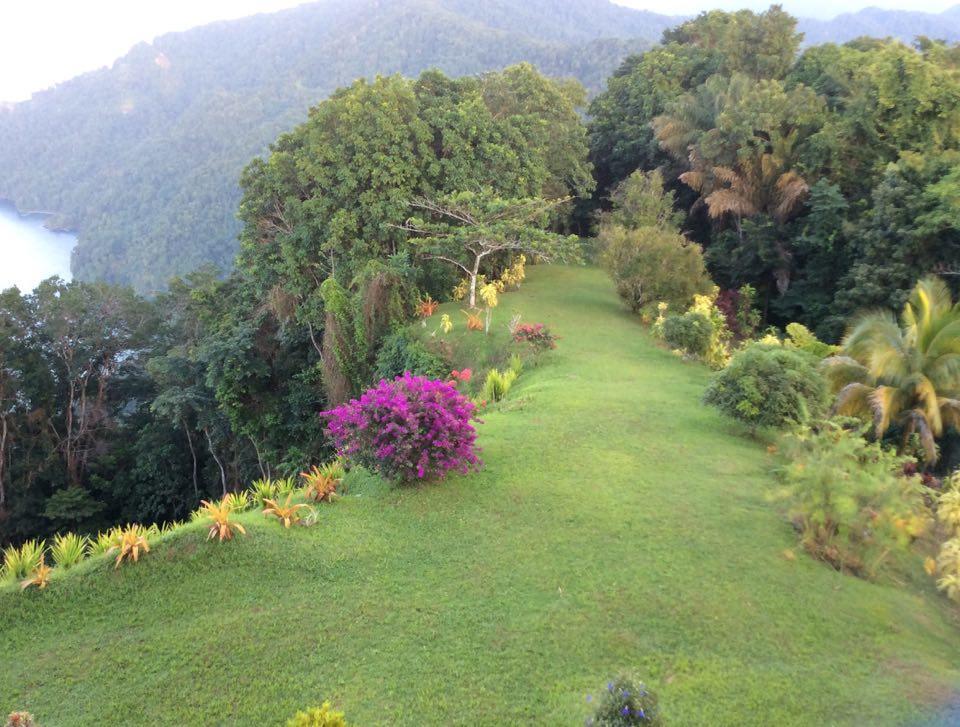 Mahogany Ridge Hotel Arouca Eksteriør billede