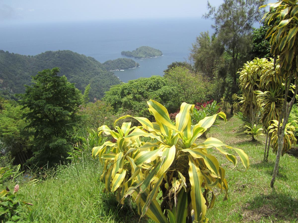 Mahogany Ridge Hotel Arouca Eksteriør billede