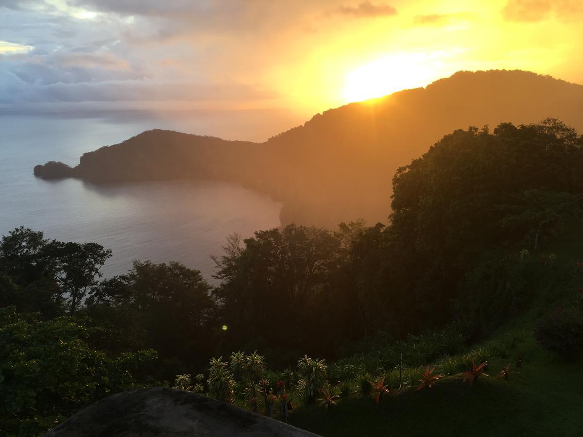 Mahogany Ridge Hotel Arouca Eksteriør billede